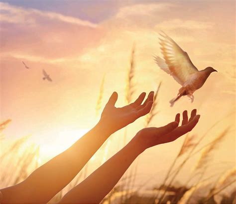 The Power Of Forgiveness