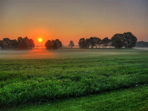 フリー写真素材自然・風景草原朝日・朝焼け・日の出霧・霞画像素材なら！無料・フリー写真素材のフリーフォト