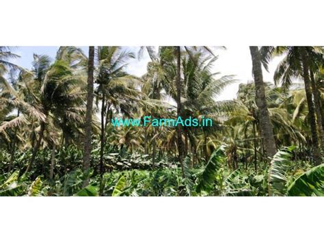 5 Acres Well Maintained River Side Property For Sale In Attappady