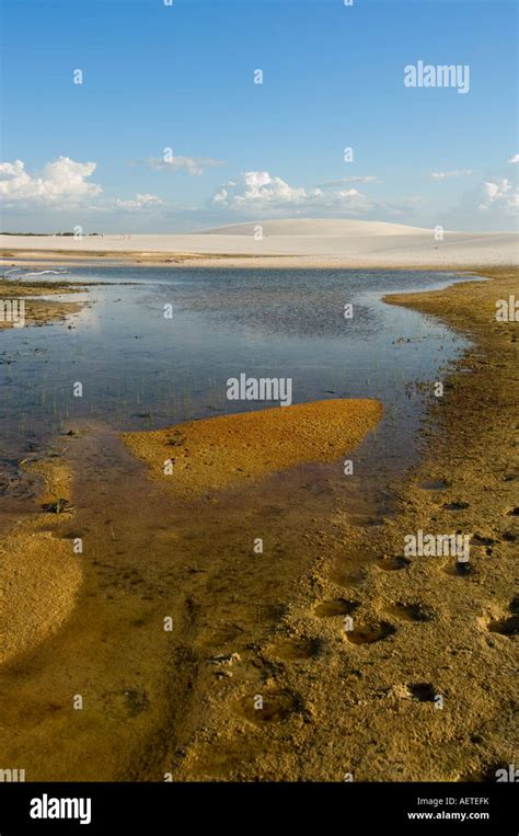 Lagoa Azul Barreirinhas Len Ois Maranhenses Maranh O Brazil Stock Photo