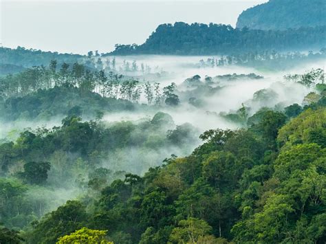 cloud forest smithsonian photo contest smithsonian magazine