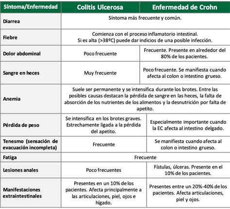 Enfermedades Inflamatorias Intestinales Eii Qu Saber Y Cu Ndo