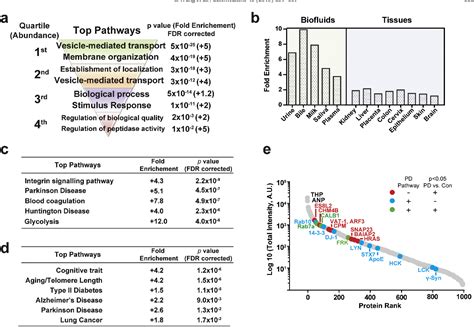 Figure 3 From Proteomic Analysis Of Urinary Extracellular Vesicles