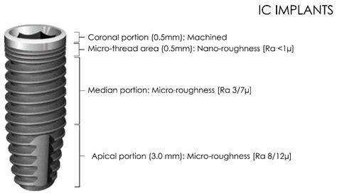 Comparative Evaluation Of Primary Stability Between Different Diameters