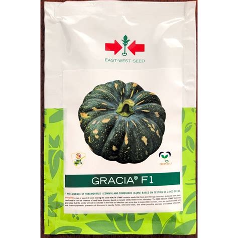 East West Seed Gracia F Squash Kalabasa Asenso Pack Lazada Ph