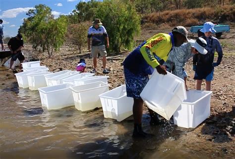 Good news for Ross River Dam stocked impoundment permit scheme