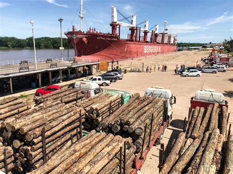 La exportación forestal a través de los puertos entrerrianos ha