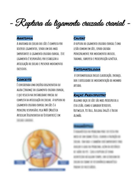 SOLUTION Ruptura Do Ligamento Cruzado Cranial Studypool