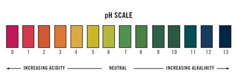 Ph Test Strips Easy Accurate Immediate Response Bradford Derustit