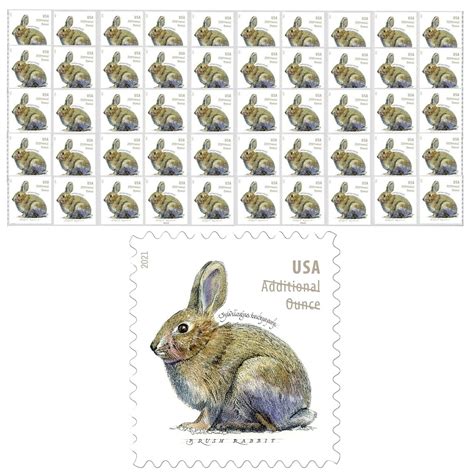 Brush Rabbit Additional Ounce Usps Postage Forever Stamps Etsy