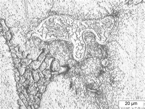 Metallography And Microstructure Analysis By G2mt Labs Houston