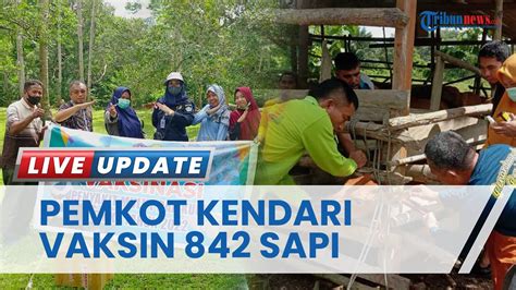 Dinas Pertanian Kota Kendari Genjot Vaksinasi Cegah Pmk Target