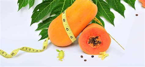 Papaya Diet - How Papaya Aids Weight Loss