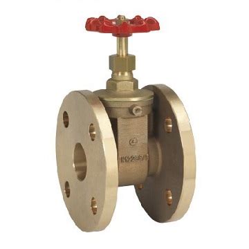 755545 GATE VALVE BRONZE DIN FLANGED PN16 DN40 Shipstore