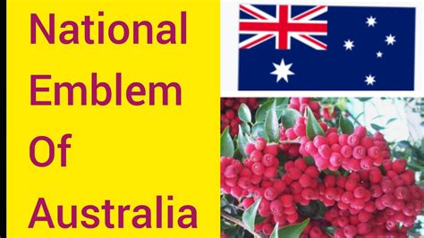 What Are National Emblem Of Australianational Emblem Of Australia