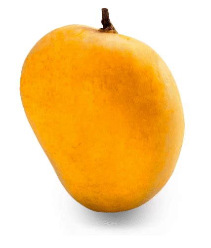 Single Mango Free Png Image