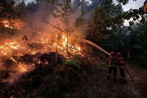 Mais Um Dia De Incêndios Indomáveis Vários Mortos Feridos Por