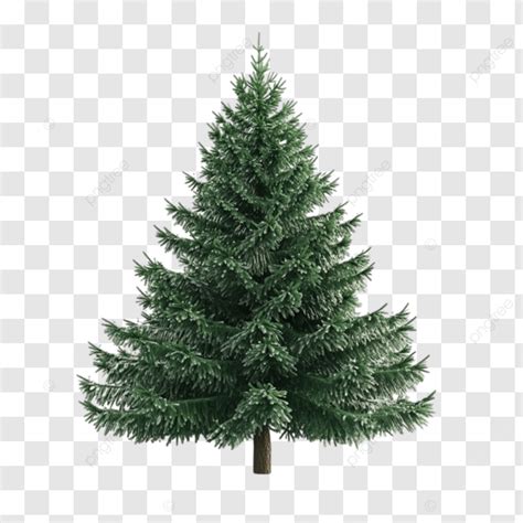 D Rendering Of Christmas Tree With Green Coniferous Appearance And