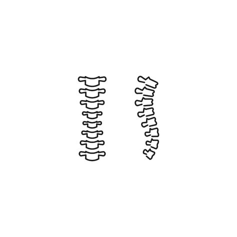 Plantilla De Contorno De Vector De Columna Vertebral Vector Premium