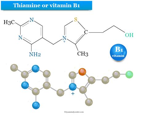 Thiamine - Deficiency, Sources, Functions, Uses