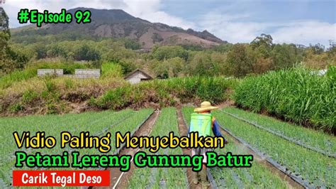 VIDIO PALING MENYEBALKAN PETANI LERENG GUNUNG BATUR Episode92 YouTube