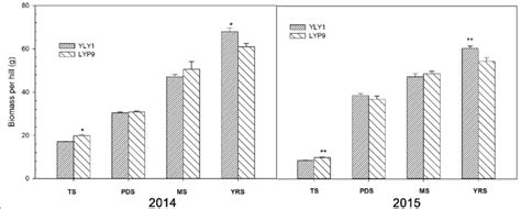 The Above Ground Biomass Dry Weights For Both YLY1 And LYP9 At