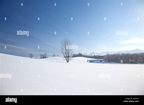 Snowy Hokkaido Countryside Japan Stock Photo Alamy