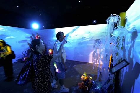 National Geographic Immersive Exhibit Projection Space Lumen