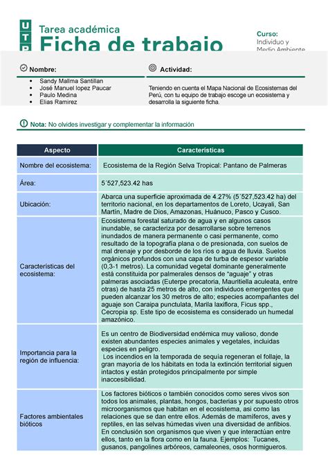 Ecosistema De La Regi N Selva Tropical Pantano De Palmeras Nombre