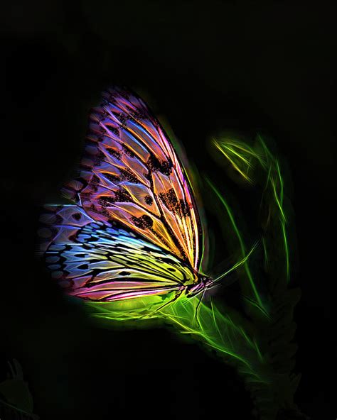 Butterfly Fantasy 2a Digital Art By Walter Herrit Pixels