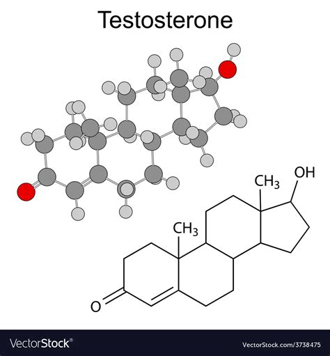 Testosterone Structure