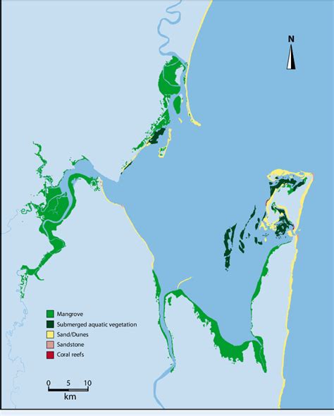 Distribution of coastal habitats around Maputo Bay, Mozambique ...