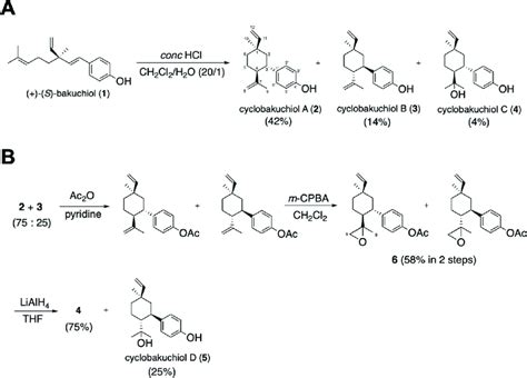 Chemical Structures And Synthetic Schemes Of Cyclobakuchiols A B C