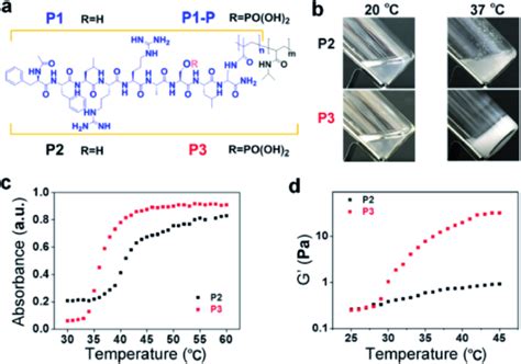 Molecular Structures And Thermoresponsive Behaviour A Molecular