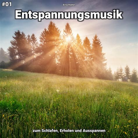 Entspannungsmusik Pt Song And Lyrics By Einschlafen Spotify