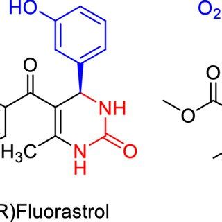 Probable Mechanism For The Synthesis Of 2 Oxo 1 2 3 4