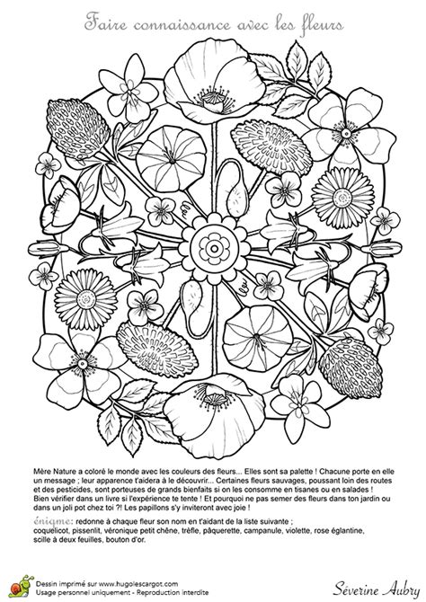 Coloriage de mandalas belle saisons sur le thème des fleurs