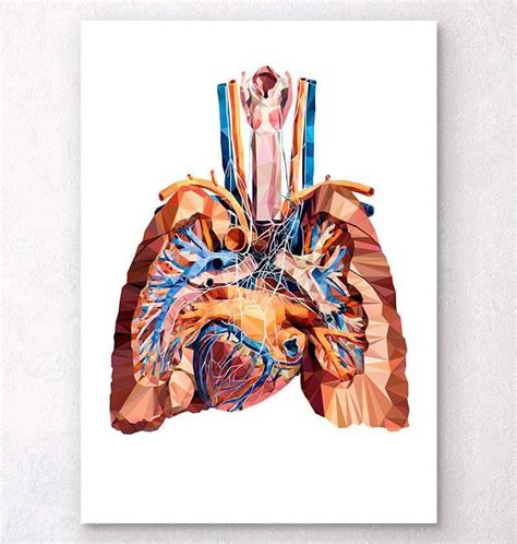 Geometrical Heart And Lungs Art Poster Codex Anatomicus