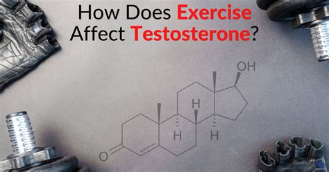 2024 How Does Exercise Affect Testosterone