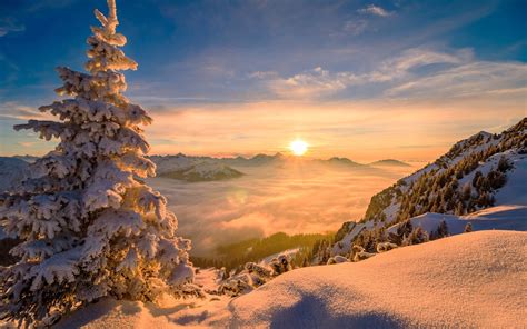 Winter Nature Mountains Trees Hd Phone Wallpaper Rare Gallery