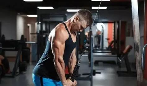 Arka Kol Ve Triceps Hareketleri SportStyle