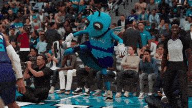 charlotte hornets hugo  hornet gif charlotte hornets hugo