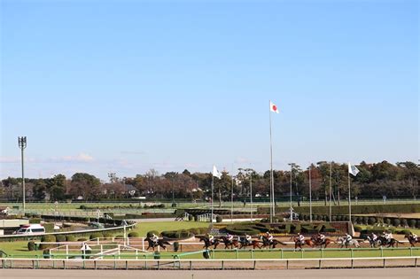 【プリュムドール登場】今週の動向（出資馬情報・jra出走特注馬） もしも一口馬主で“競走馬育成シミュレーションゲーム”みたいな体験ができ