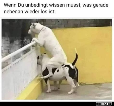 Wenn Du Unbedingt Wissen Musst Was Gerade Nebenan Wieder Los Ist