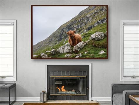 Highland Cow Canvas Print, Animal Canvas, Cow Canvas, Highland Cattle ...