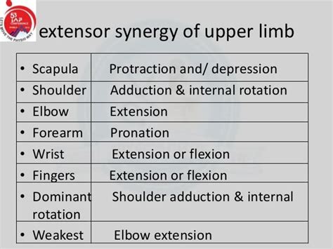 Brunnstrom Stages Of Recovery Chart Pdf: A Visual Reference of Charts ...