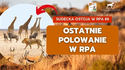 Sudecka Ostoja Ostatnie Wyj Cie W Busz Oryx Na Rozk Adzie