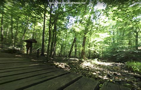 360° Views of the Duke Forest – Duke Forest