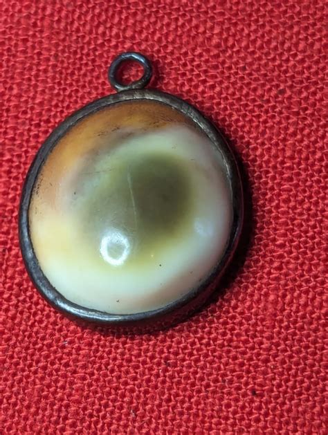 Operculum Pendant Etsy