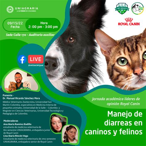 Manejo De Diarreas En Caninos Y Felinos Uniagraria